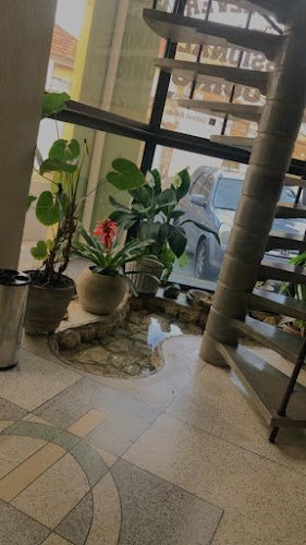 Adcorpus Estética Funcional