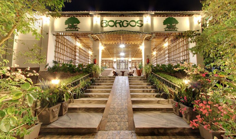 Borgos The Wild Haven