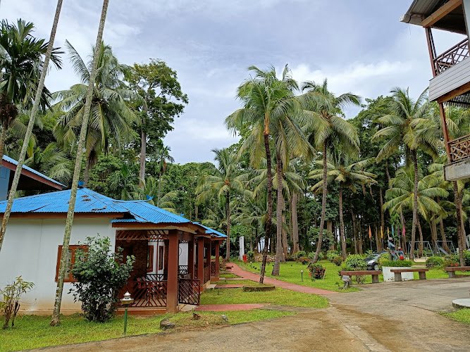 Discover Andaman Holidays Pvt Ltd | Andaman's No.1 Local Tour Operator Approved by Ministry of Tourism