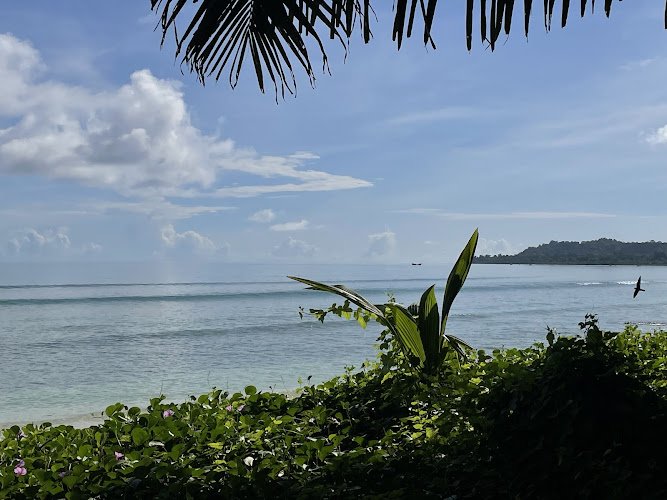 Experience Andamans | Best Travel Agency in Andaman Islands