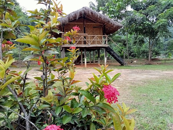 Green Herbage Jungle Resort