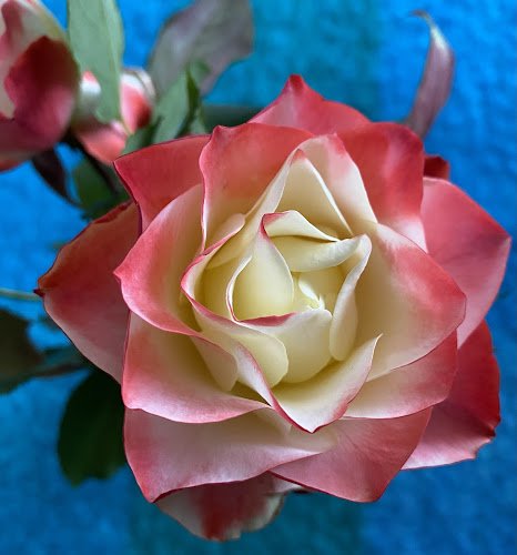 Heidi’s Ka Huna Massage