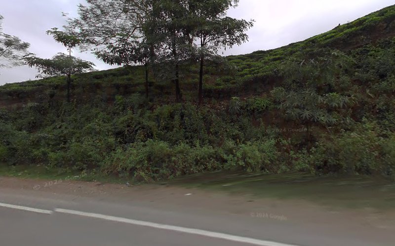 Joy Guru Gents & Ladies Parlour