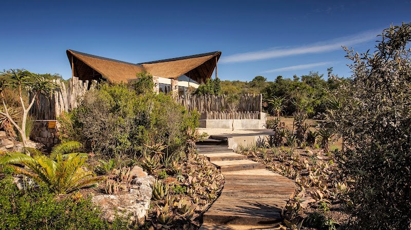 Kichaka Luxury Game Lodge - Lalibela Game Reserve