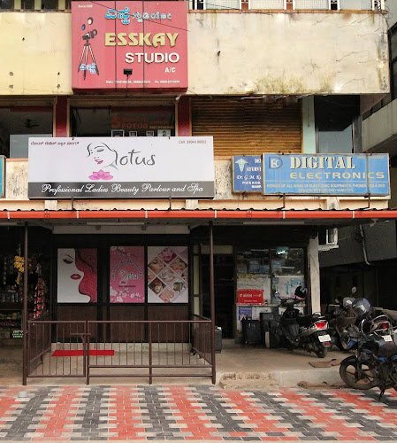 Lotus professional beauty parlour an spa