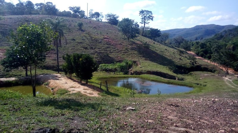 Sen. Modestino Gonçalves