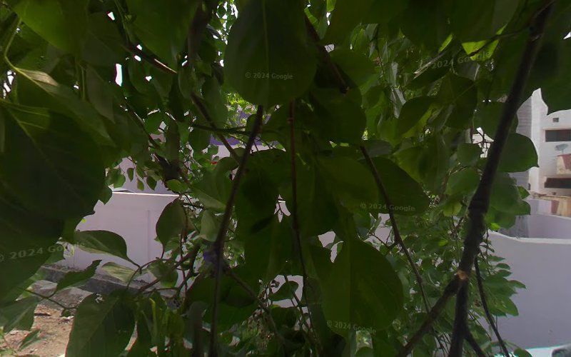 Snehal Beauty Parlour