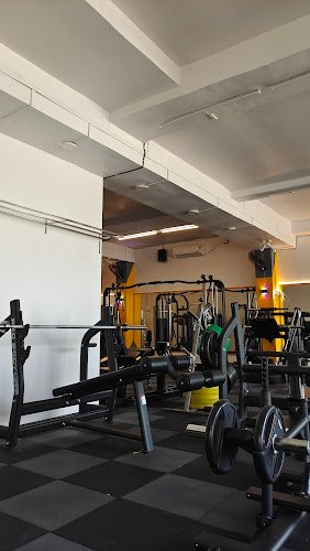 The Gym City