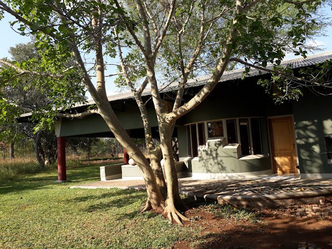 Tingala Lodge and Bush Camp Phalaborwa