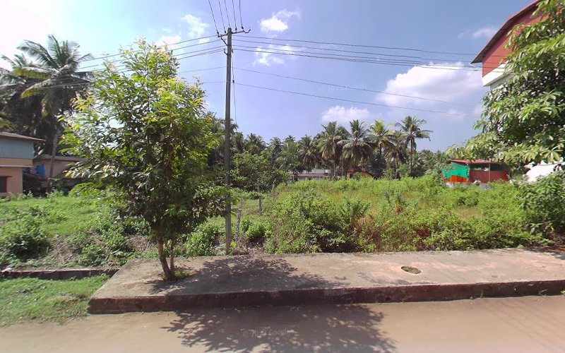 Unique Professional Beauty Parlour