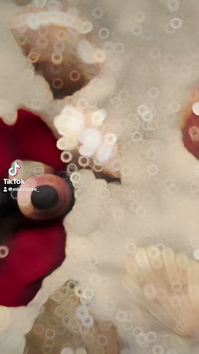 BeYou Beauty Fußpflege & Mee(h)r