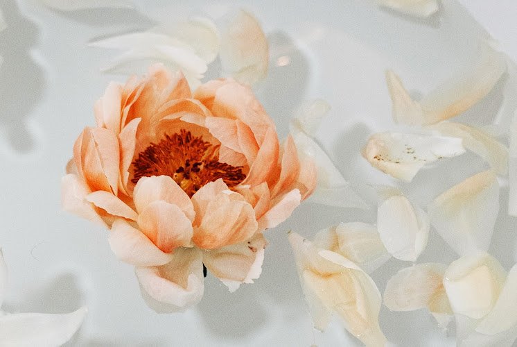 Bonita Beauty Salon | Eibelstadt