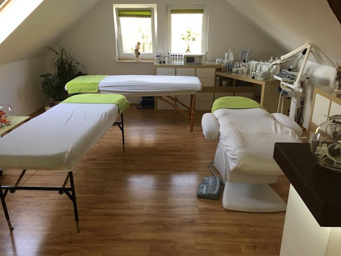 Danis Cosmetics Permanent Make-up Augenbrauen Kosmetik Hildburghausen Coburg Suhl Schleusingen