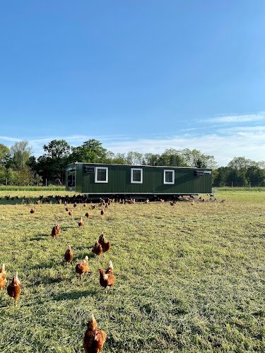 Haldensleber WiesenEi