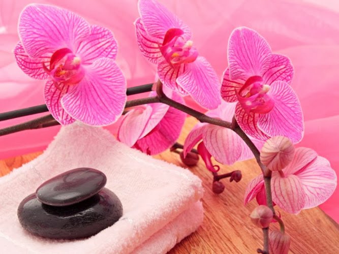 Risa Thai Massage & Spa