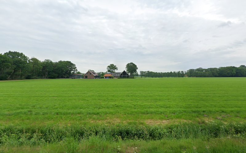 Tammass (Massage en schoonheidssalon)